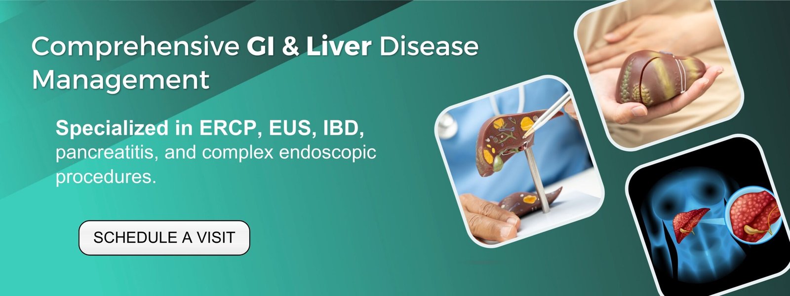 Website Banner Three